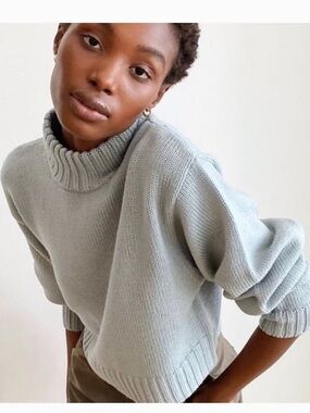 Aritzia Wilfred Free Womens Harper Knit 100% Merino Wool Turtleneck Crop Sweater